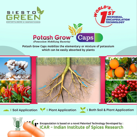 POTASH GROW